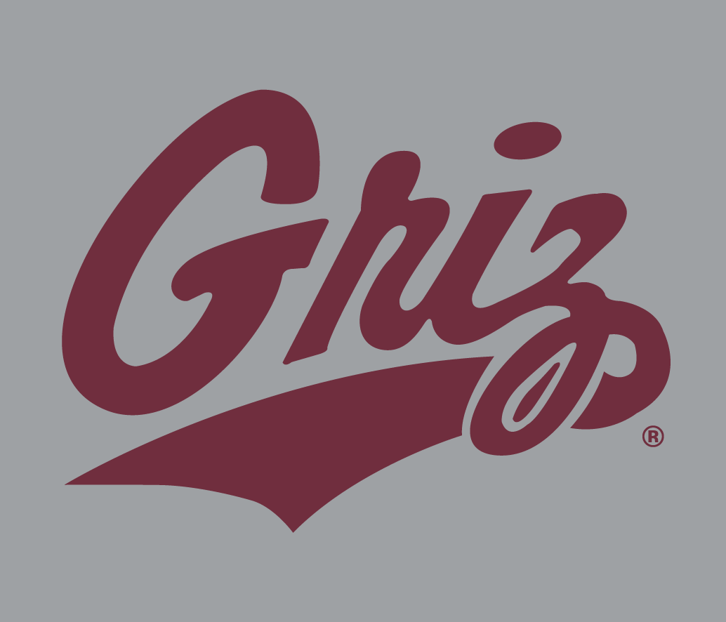 Montana Grizzlies 1996-Pres Alternate Logo v5 DIY iron on transfer (heat transfer)